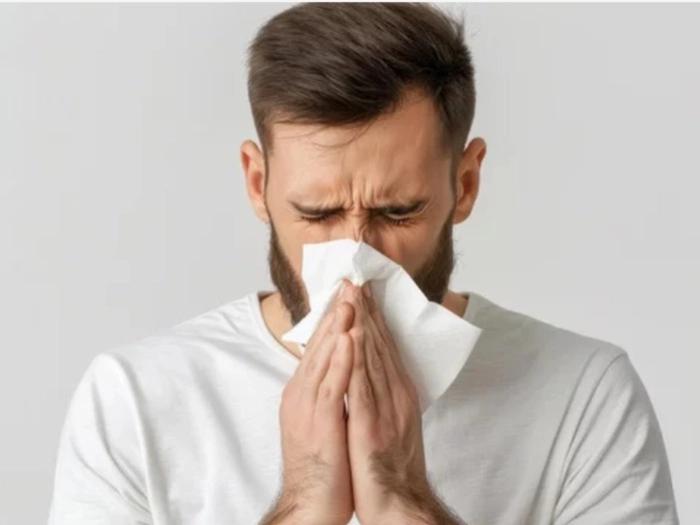 Dust Allergy in Bangalore: Uncovering a Growing Health Risk