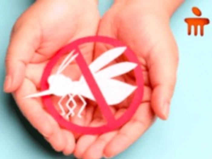 Dengue Rises: Watch out for the Key Symptoms